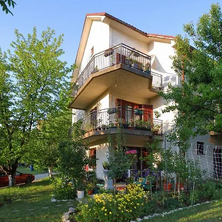 Petra Apartment